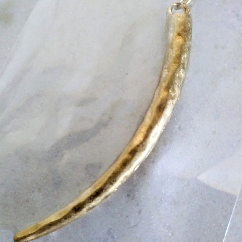 Splendid Iris Golden Claw/Tooth Necklace